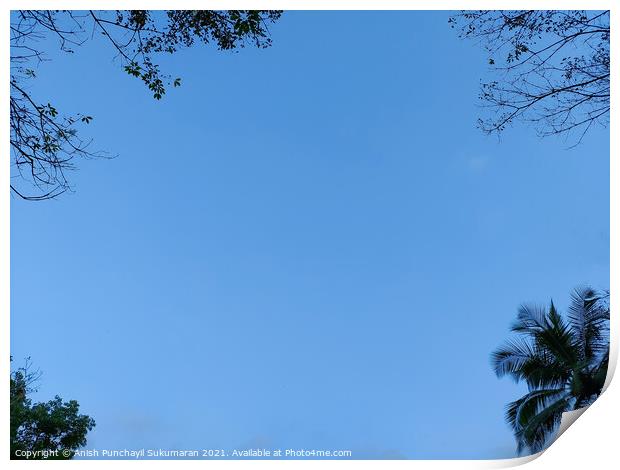 blue sky and tree on each corners,  Print by Anish Punchayil Sukumaran