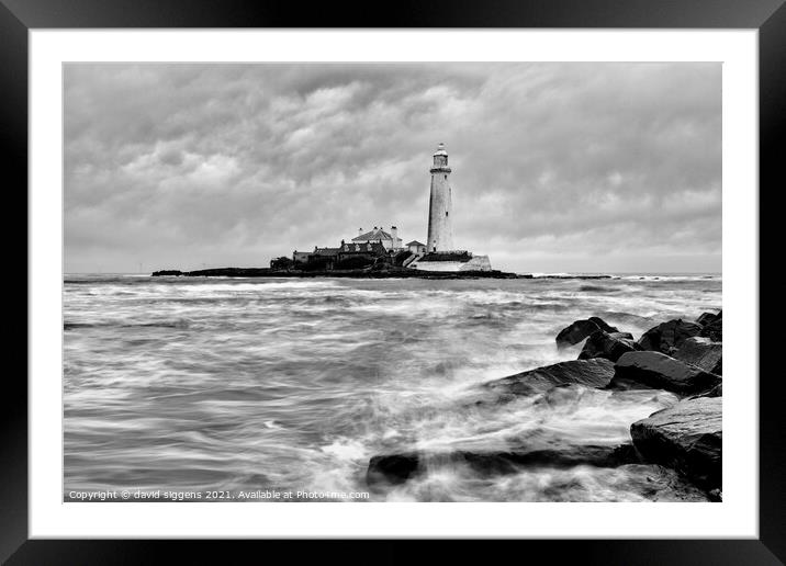 Black and white st marys lighthouse  Framed Mounted Print by david siggens
