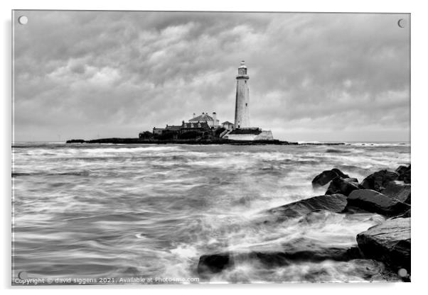 Black and white st marys lighthouse  Acrylic by david siggens
