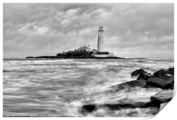Black and white st marys lighthouse  Print by david siggens