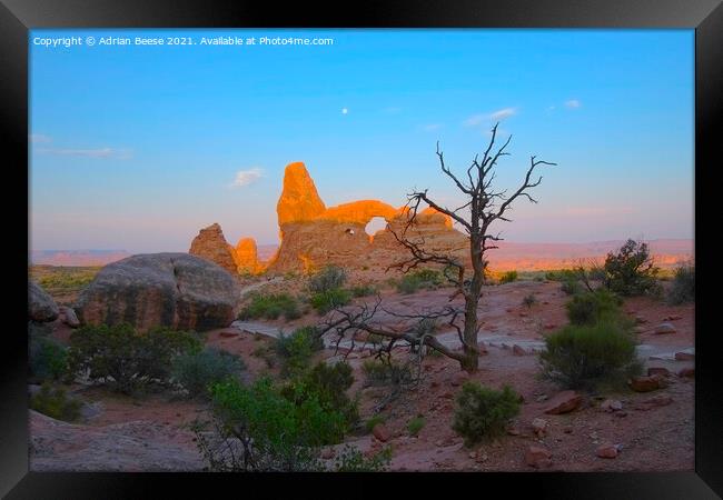 Desert dawn at Arches National Park Framed Print by Adrian Beese