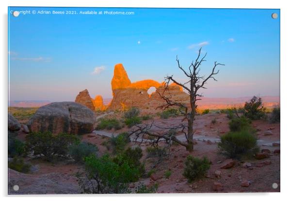 Desert dawn at Arches National Park Acrylic by Adrian Beese