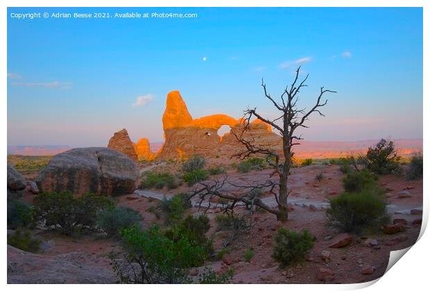 Desert dawn at Arches National Park Print by Adrian Beese