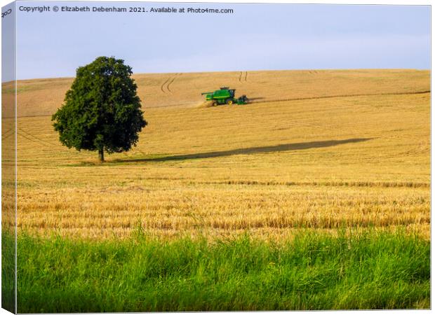 Harvesting round a lone beech tree Canvas Print by Elizabeth Debenham