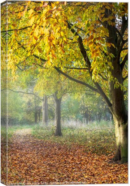 Autumn walk, Leicestershire Canvas Print by Jim Monk