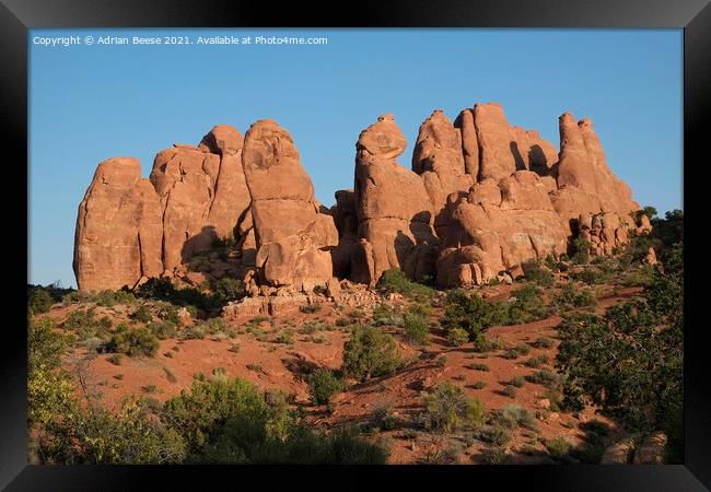 Devils Garden early morning in Arches National Park Framed Print by Adrian Beese