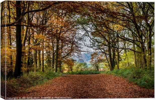 Woodland Walk, Leicestershire Canvas Print by Jim Monk
