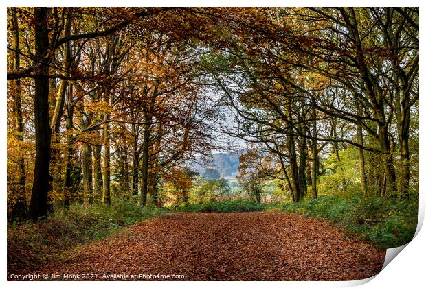 Woodland Walk, Leicestershire Print by Jim Monk