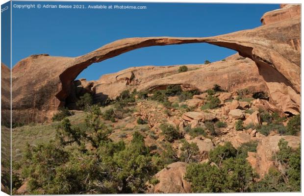  Delicate Arch in the Devils Garden  Canvas Print by Adrian Beese