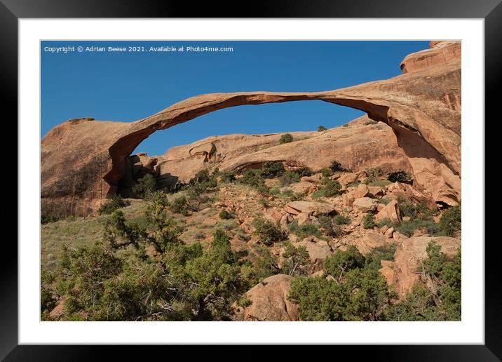  Delicate Arch in the Devils Garden  Framed Mounted Print by Adrian Beese
