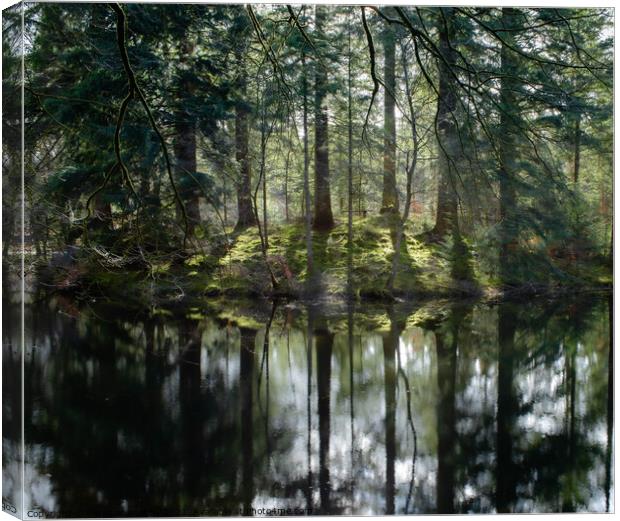 Refection on the loch  Canvas Print by christian maltby