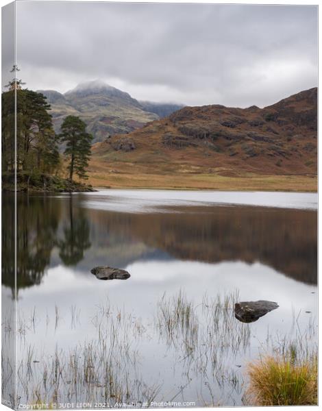 Calm afternoon at Blea Tarn Canvas Print by JUDI LION