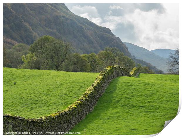A curving dry stone wall Print by JUDI LION
