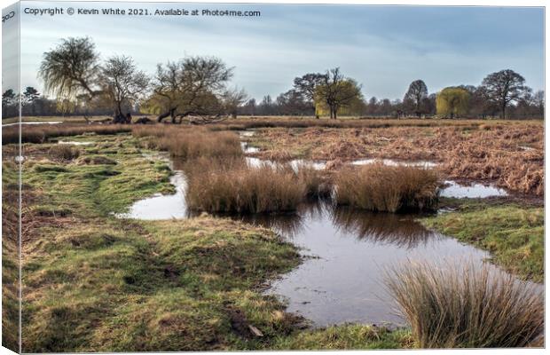 Flooding Canvas Print by Kevin White