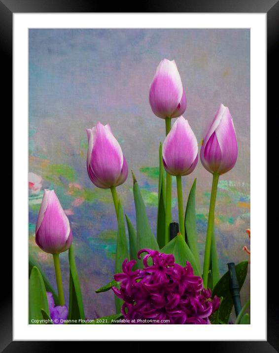 Delicate Pastel Beauty Framed Mounted Print by Deanne Flouton