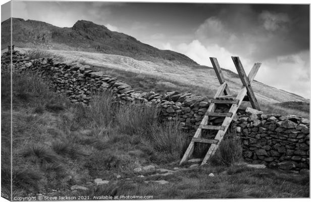 Stairway to the fells Canvas Print by Steve Jackson