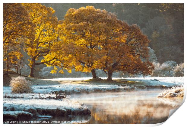 Morning mist on the River Brathay Print by Steve Jackson