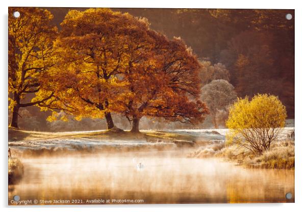 Autumnal mist on the River Brathay Acrylic by Steve Jackson