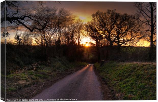 Country Lane Sunset Canvas Print by Nigel Bangert