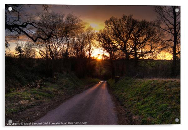 Country Lane Sunset Acrylic by Nigel Bangert