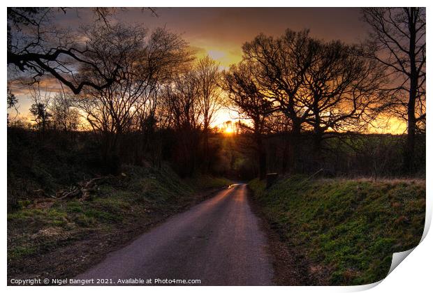 Country Lane Sunset Print by Nigel Bangert