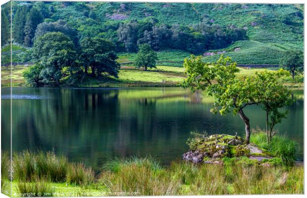 Rydal Water Canvas Print by Jim Monk