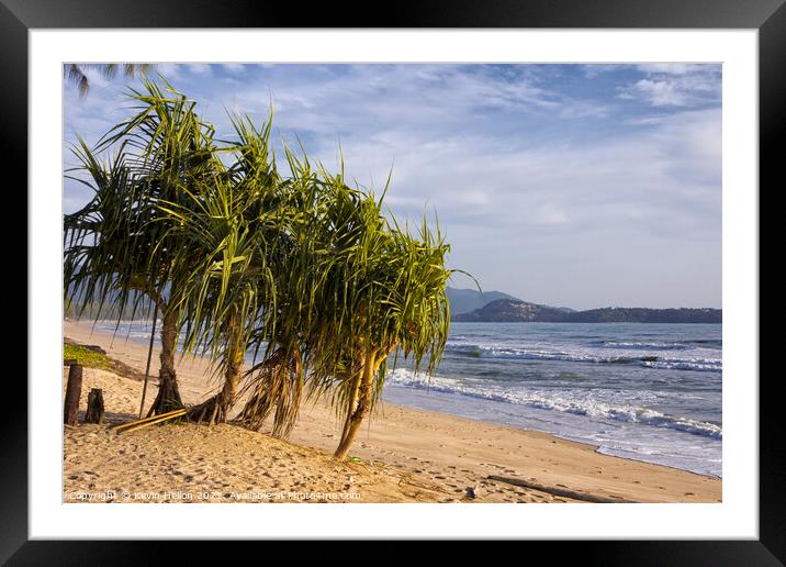 Pandanus trees Framed Mounted Print by Kevin Hellon