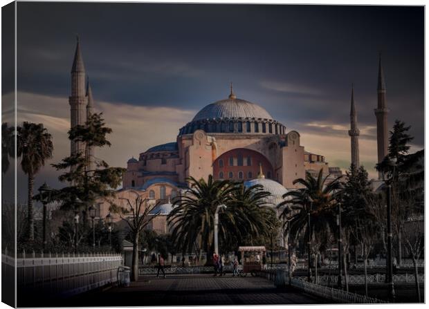 Hagia Sophia (Ayasofya). View from the Sultan Ahmet Park. Istanb Canvas Print by Sergey Fedoskin