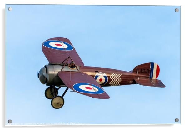 Bristol Monoplane Scout Acrylic by Steve de Roeck