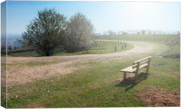 empty wooden bench in spring park with a path Canvas Print by David Galindo