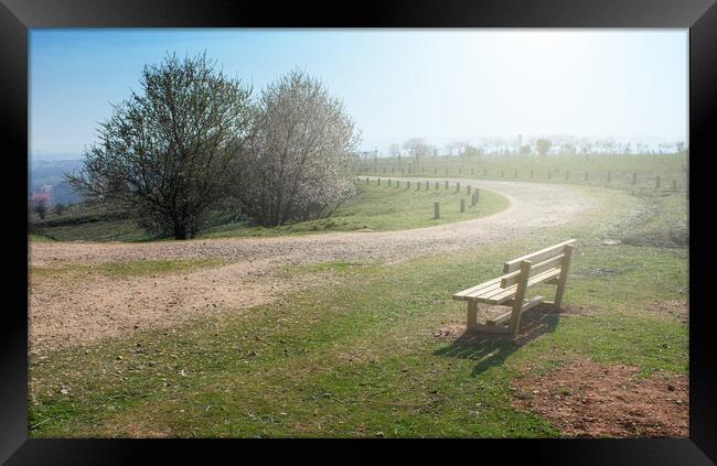 empty wooden bench in spring park with a path Framed Print by David Galindo