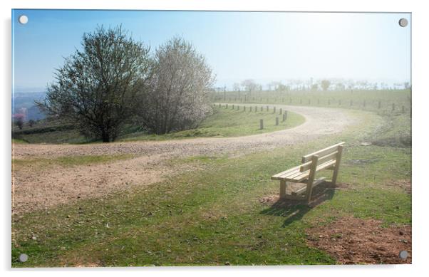 empty wooden bench in spring park with a path Acrylic by David Galindo