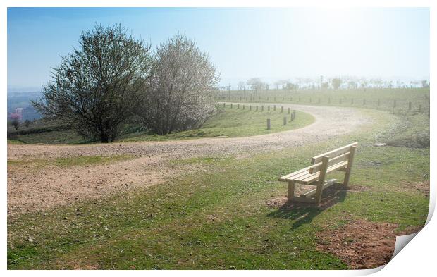empty wooden bench in spring park with a path Print by David Galindo