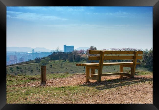 empty wooden bench in spring park over the city Framed Print by David Galindo