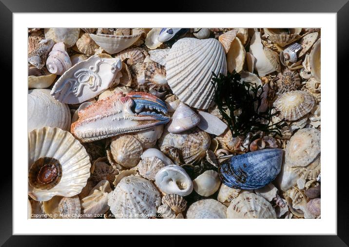Shell beach, Queen's bay, Isle of Colonsay, Scotla Framed Mounted Print by Photimageon UK