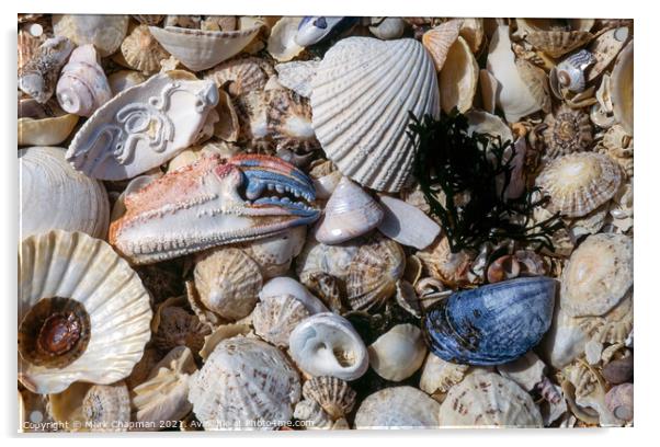 Shell beach, Queen's bay, Isle of Colonsay, Scotla Acrylic by Photimageon UK