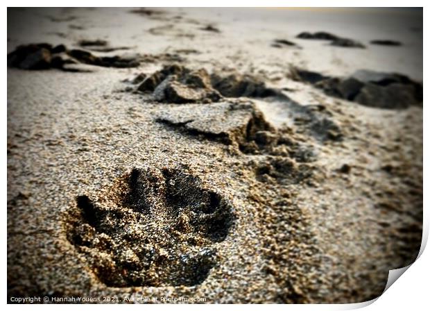 Paw prints in the sand Print by Hannah Youens