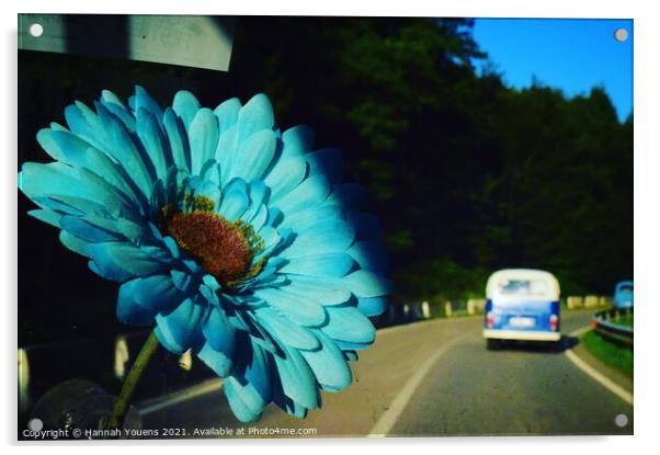 VW Flower Acrylic by Hannah Youens