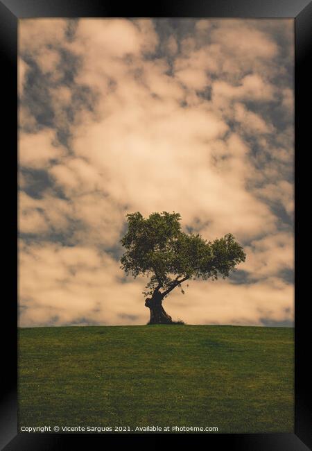 Olive tree and clouds Framed Print by Vicente Sargues