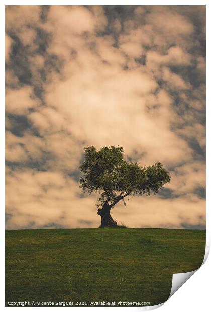 Olive tree and clouds Print by Vicente Sargues