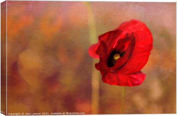 Poppy in the dying light Canvas Print by Jaxx Lawson