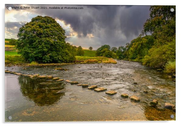 Stepping Stones on the River Wharfe above Burnsall Acrylic by Peter Stuart