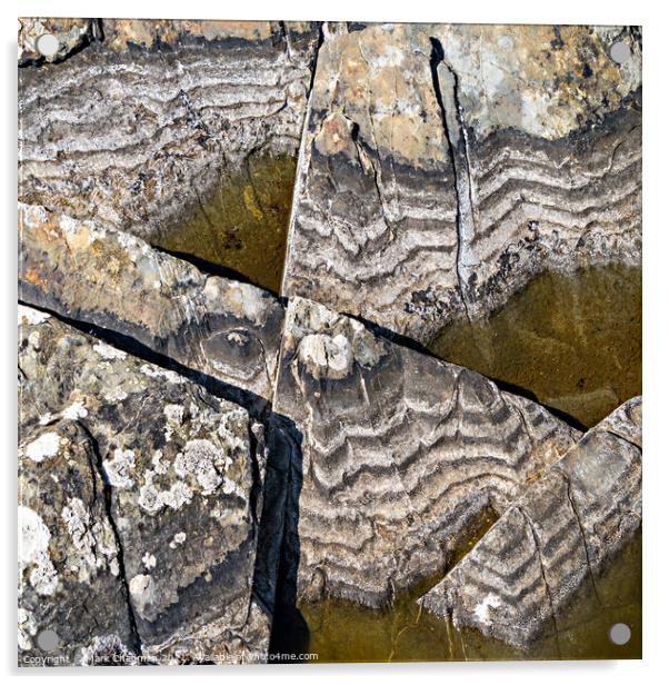 Rock pool salty tide marks, Isle of Colonsay, Scotland Acrylic by Photimageon UK