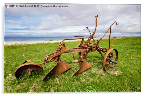 Rusty Old Handplough Outer Hebrides Acrylic by Pearl Bucknall