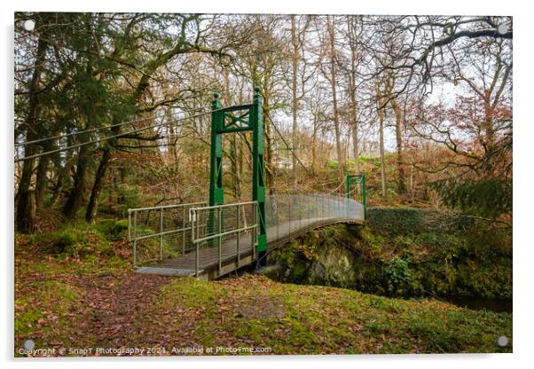 Green suspension bridge over a deep gorge and river in a forest in Scotland Acrylic by SnapT Photography