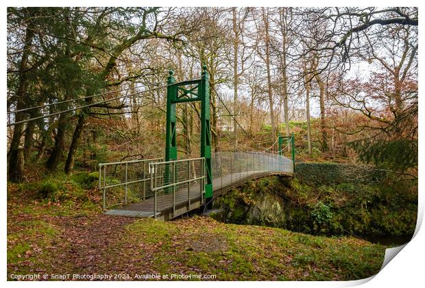Green suspension bridge over a deep gorge and river in a forest in Scotland Print by SnapT Photography