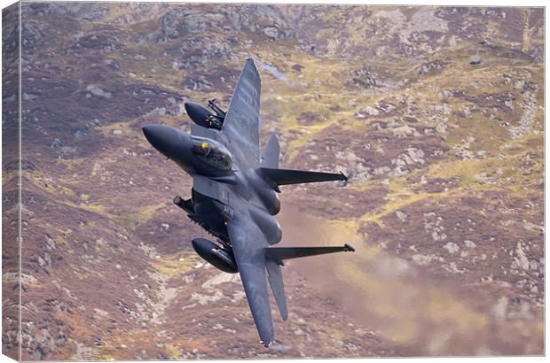 F15 E banking left Canvas Print by Rory Trappe