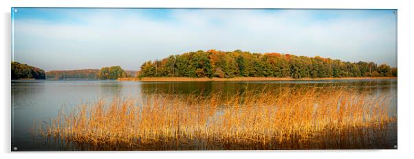 Autumn Lake Panorama Acrylic by Antony McAulay
