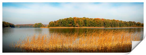 Autumn Lake Panorama Print by Antony McAulay