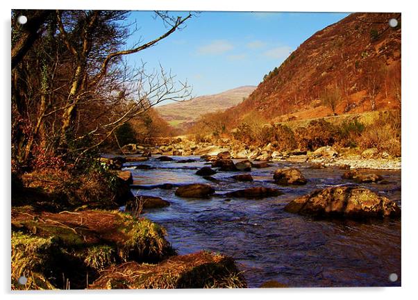 Snowdonia  River 2 Acrylic by Ian Tomkinson